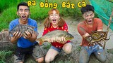 Hà Sam Đi Bắt Cá Ngoài Đồng - Ai Bắt Được Nhiều Cá Nhất ? Catch Fish With Hand