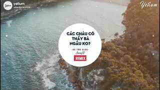 CÁC CHÁU CÓ THẤY BÀ NGẦU KHÔNG REMIX- NONSTOP BÀ TÂN VLOGS