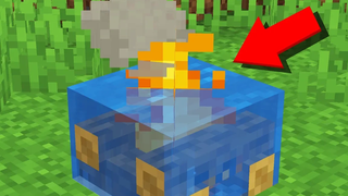15 ข้อบกพร่องที่แปลกประหลาดที่สุดใน Minecraft 114