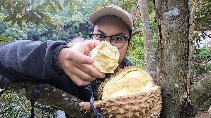 MAKAN DURIAN DI ATAS POHON #biyanslam #panendurian