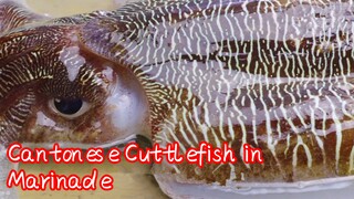 Cantonese Cuttlefish in Marinade