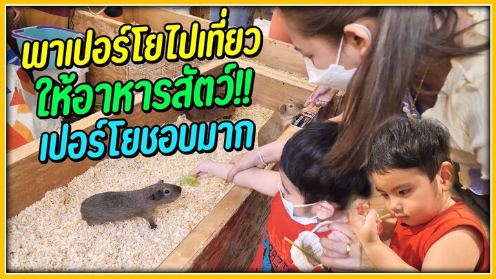 พาเปอร์โยไปเที่ยวให้อาหารสัตว์..