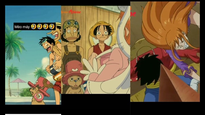 Trọn bộ 300+ tổng hợp hình ảnh hài hước của luffy mới nhất - Wikipedia Trọn bộ 300+ tổng hợp hình ảnh hài hước của luffy mới nhất - Wikipedia