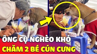 Tan chảy hình ảnh Ông cụ 'ĐÚT ĐỒ ĂN' cho 2 bé cún, dù nghèo vật chất nhưng 'GIÀU TÌNH CẢM' 🥰 Gâu Đần