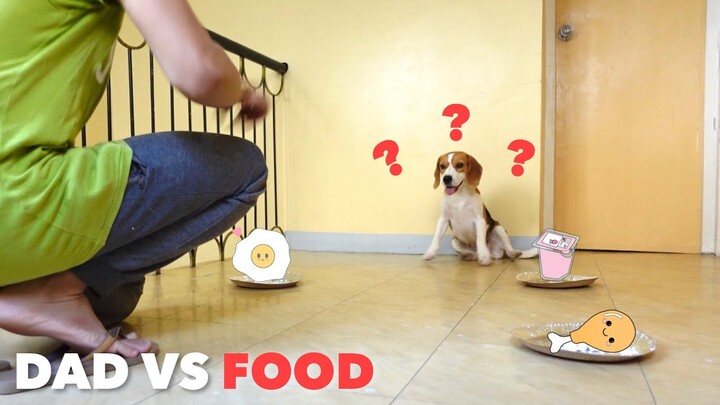 WILL MY DOGS CHOOSE ME OVER THEIR FAVORITE FOOD? 🤨