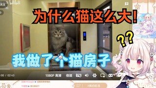 日本萝莉看《我做了个猫房子》大受震撼脑子烧了