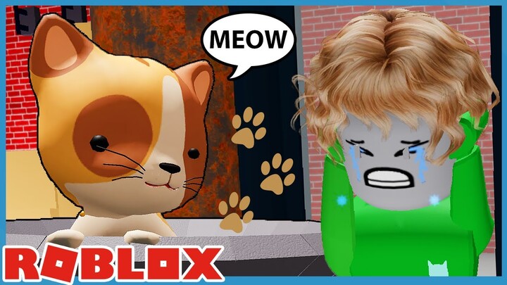 Roblox EXTREME Hide And Seek With My Cats