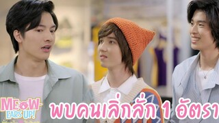 พบคนเลิ่กลั่ก 1 อัตรา HIGHLIGHT EP7 Meow Ears Up น้องเหมียวในห้องผม