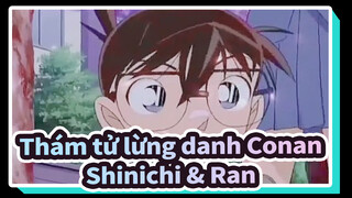 Thám tử lừng danh Conan
Shinichi & Ran