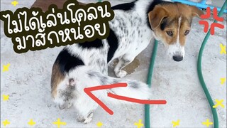 โลกของแสนดี ตอน จำนนต่อหลักฐาน