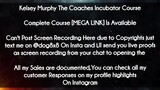 Kelsey Murphy The Coaches Incubator Course course download