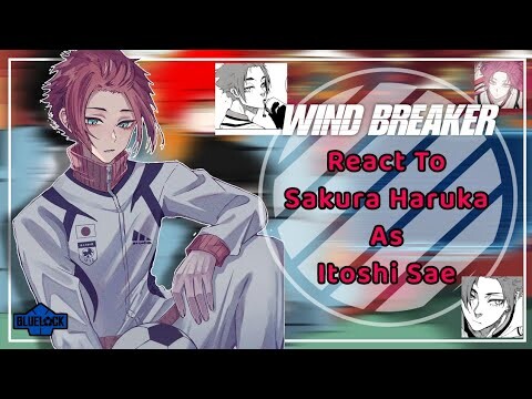 [ Full] Wind Breaker React To Sakura Haruka As Itoshi Sae || WB x BLLK || by: Yuuhi