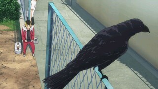 Haikyuu!! Movie: Gomisuteba no Kessen