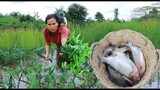 survival in the rainforest- found water spinach & cook fishes when it's raining -Eating delicious HD