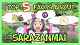 TOP 5 FACTS about SARAZANMAI I SARAZANMAI Explained