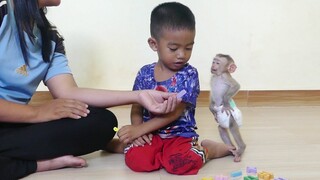 Most standing baby monkey! Maki standing straight very adorable play hid behind brother Huor