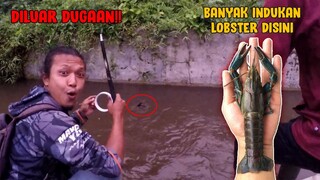 DILUAR DUGAAN.. !! CUMA DI SELOKAN TERNYATA BANYAK LOBSTER INDUKAN || Mancing Lobster Air Tawar