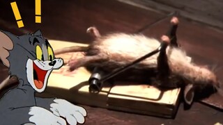 [High energy ahead] Mouse remakes the real-life version of Tom and Jerry, cheating and lifting weigh