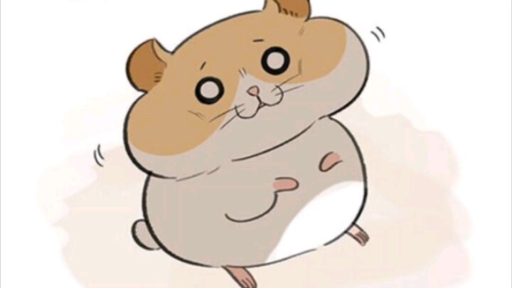 MANHUA kucing hamster