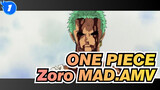 ONE PIECE|A man like you who gives up his life must be doing it for someone(Zoro)_1
