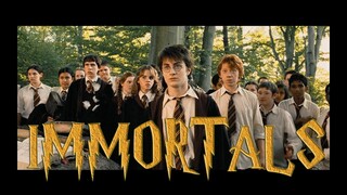 [Harry Potter] Immortals (Lyrics+Vietsub)