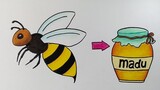 Menggambar lebah madu || How to draw honey bee