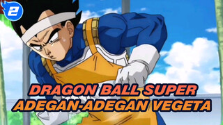 Apa Kamu Pernah Melihat... Vegeta Begitu Peduli Seperti Ini?_2