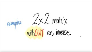 examples 2x2 matrix withOUT an inverse