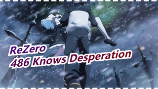 [ReZero] No One Knows Desperation Better Than 486!