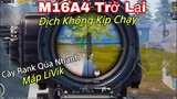 PUBG Mobile | Cày Rank Cực Nhanh Tại Máp LiVik | M16A4 Được Tăng Sức Mạnh Khi Trong Tay | NhâmHNTV