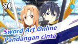 [Sword Art Online] Pandangan cinta di SMA_2