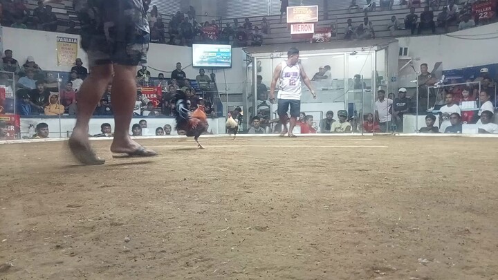 di tau sinamahan ng swerte liit....  mgaling k parin.. 🐓