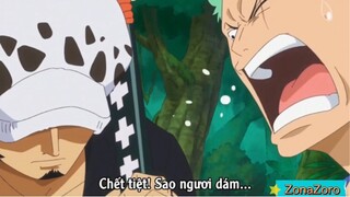 Zoro và biệt hiệu "thánh lạc đường" [AMV] #videohaynhat