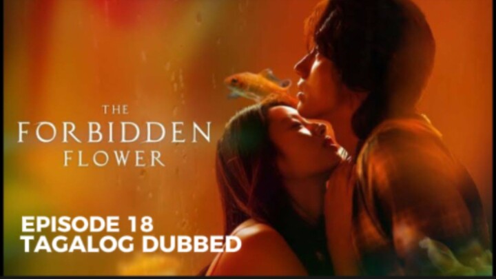 The Forbidden Flower Episode 18 Tagalog Dubbed