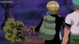 [One Piece] The strange creatures that Luffy loves