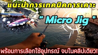 HOW TO? EP.10 แนะนำเทคนิคการใช้ "Micro Jig"(ไมโครจิ๊ก) พร้อมวิธีเลือกอุปกรณ์แบบครบในคลิปเดียว!