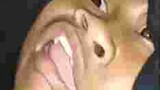 Asem!!!!!!! Hanya menghibur memang curian tapi lucu
