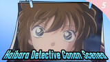 Haibara Detective Conan Scenes_5