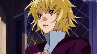 【Gundam SEED DESTINY】Lý do chiến đấu- REASON