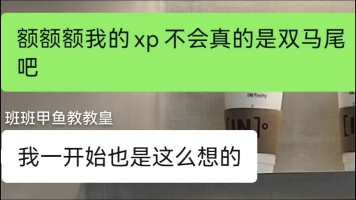 你说得对但双马尾世界第一