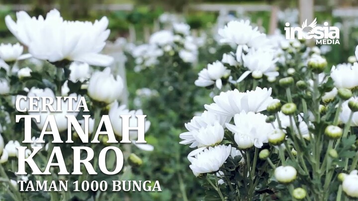 CERITA TANAH KARO ||| TAMAN SERIBU BUNGA