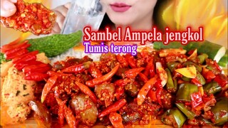 ASMR SAMBEL AMPELA JENGKOL + TUMIS TERONG IJO + PEPES TAHU PEDAS | ASMR MUKBANG INDONESIA