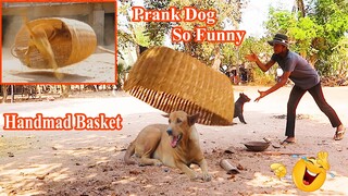 Best Handmade Basket Prank Sleep Dog So Funny with Super Reaction Dog