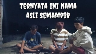 jati diri semampir