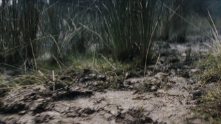 2023 HD MOVIE QUICKSAND