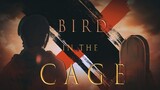 [ Attack on Titan | Ellen ] Bird In The Cage