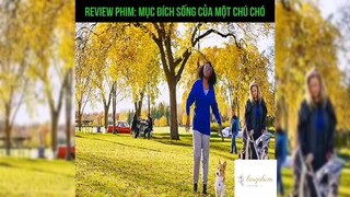 Tóm tắt phim: Mục đích sống của một chú chó p3 #reviewphimhay