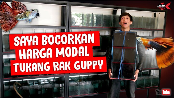 IDEAL UNTUK GUPPY. UKURAN TANK DAN RAK. MURAH BANGET