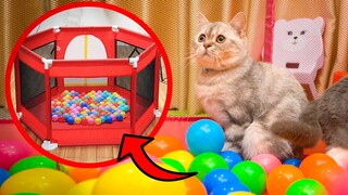 Lần đầu các bé mèo chơi nhà banh (The Happy Pets #30)