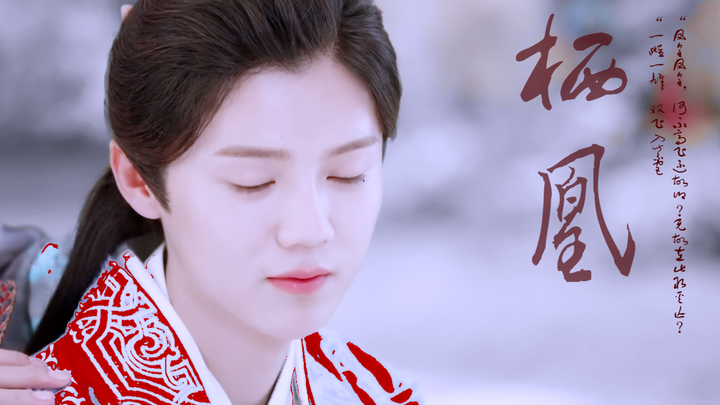 【鹿晗×吴彦祖】栖凰        赠 狒狒大爷